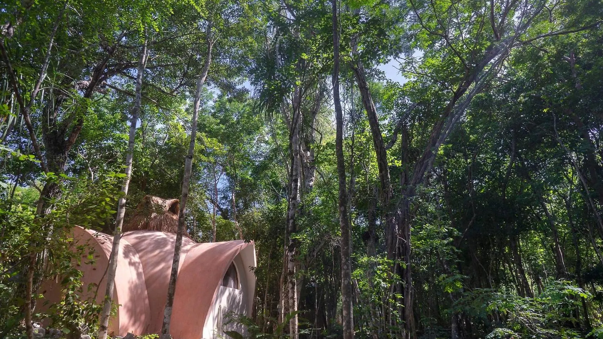 Affittacamere Room In Lodge - Ecolush Couple Mayan Dome Cenote Bikes Tulum