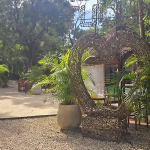 Kin Jungle Deluxe Guest house
